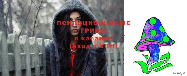 apvp Майский