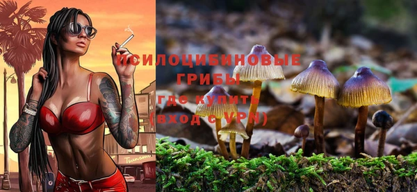 apvp Майский