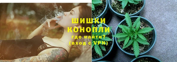 индика Липки