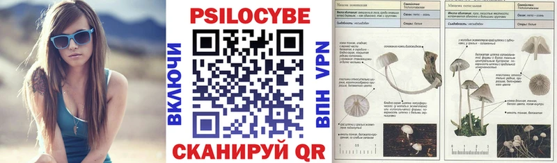 Псилоцибиновые грибы Cubensis  Называевск 